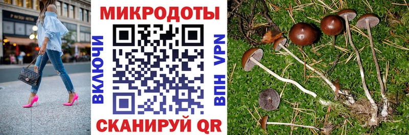 Псилоцибиновые грибы MAGIC MUSHROOMS  Купить закладки  Стрежевой 